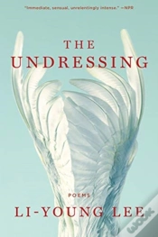Capa do artigo The Undressing