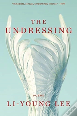 Capa do artigo The Undressing