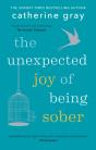 The Unexpected Joy Of Being Sober - Preview