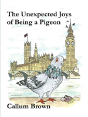 The Unexpected Joys Of Being A Pigeon - Preview