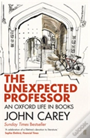 Capa do artigo The Unexpected Professor
