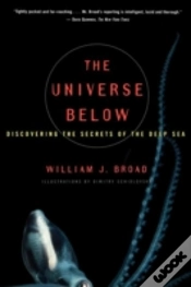 Capa do artigo The Universe Below
