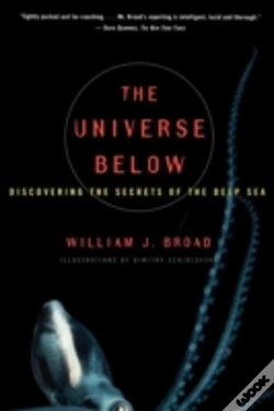 Capa do artigo The Universe Below