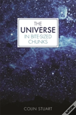 Capa do artigo The Universe In Bite-Sized Chunks