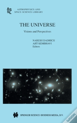 Capa do artigo The Universe