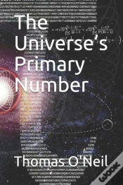Capa do artigo The Universe