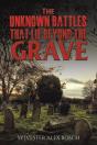 The Unknown Battles That Lie Beyond The Grave - Preview