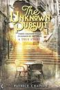 The Unknown Pursuit - Preview