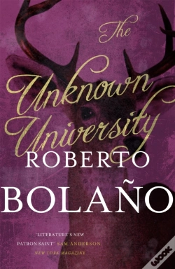 Capa do artigo The Unknown University Mme