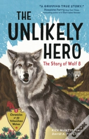 Capa do artigo The Unlikely Hero