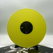 Capa do artigo The Unspoken King - Vinil