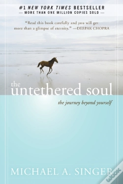 Capa do artigo The Untethered Soul