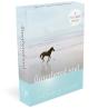 The Untethered Soul - Preview