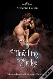 Capa do artigo The Unwilling Bridge