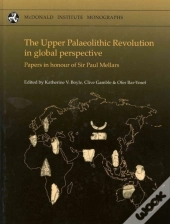 The Upper Palaeolithic Revolution In Global Perspective