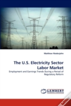 Capa do artigo The U.S. Electricity Sector Labor Market
