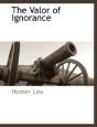 The Valor Of Ignorance - Preview