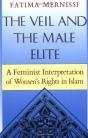 The Veil And The Male Elite - Preview