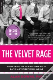 Capa do artigo The Velvet Rage