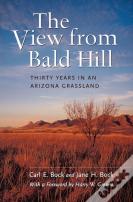 The View From Bald Hill