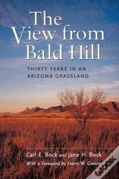 The View From Bald Hill
