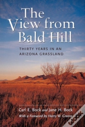 Capa do artigo The View From Bald Hill