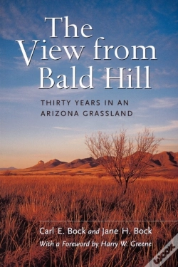 Capa do artigo The View From Bald Hill