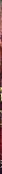 The Viking'S Consort