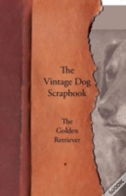 Capa do artigo The Vintage Dog Scrapbook - The Golden Retriever