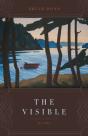 The Visible - Preview