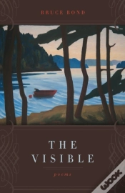 Capa do artigo The Visible
