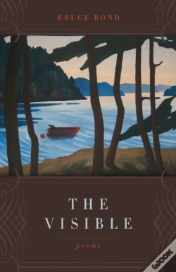 Capa do artigo The Visible