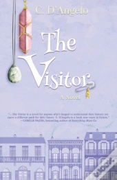 The Visitor