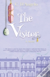 Capa do artigo The Visitor