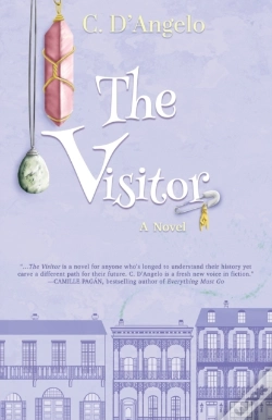 Capa do artigo The Visitor