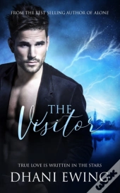 The Visitor