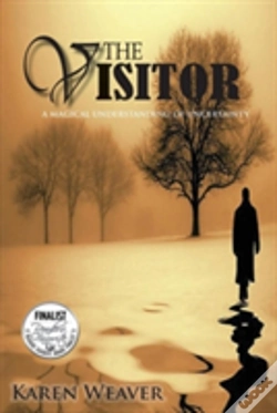 Capa do artigo The Visitor