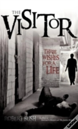 Capa do artigo The Visitor