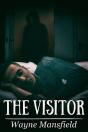 The Visitor - Preview