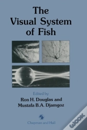 The Visual System Of Fish