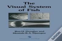 The Visual System Of Fish