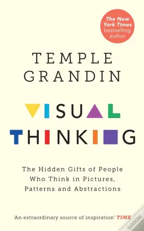 The Visual Thinker