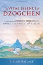 The Vital Essence Of Dzogchen - Preview