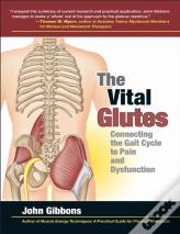 The Vital Glutes