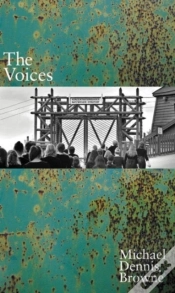 Capa do artigo The Voices