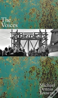Capa do artigo The Voices