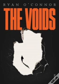 Capa do artigo The Voids