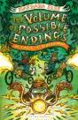 The Volume Of Possible Endings - Preview