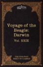 The Voyage Of The Beagle: The Five Foot - Preview