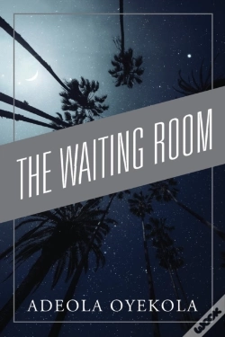 Capa do artigo The Waiting Room
